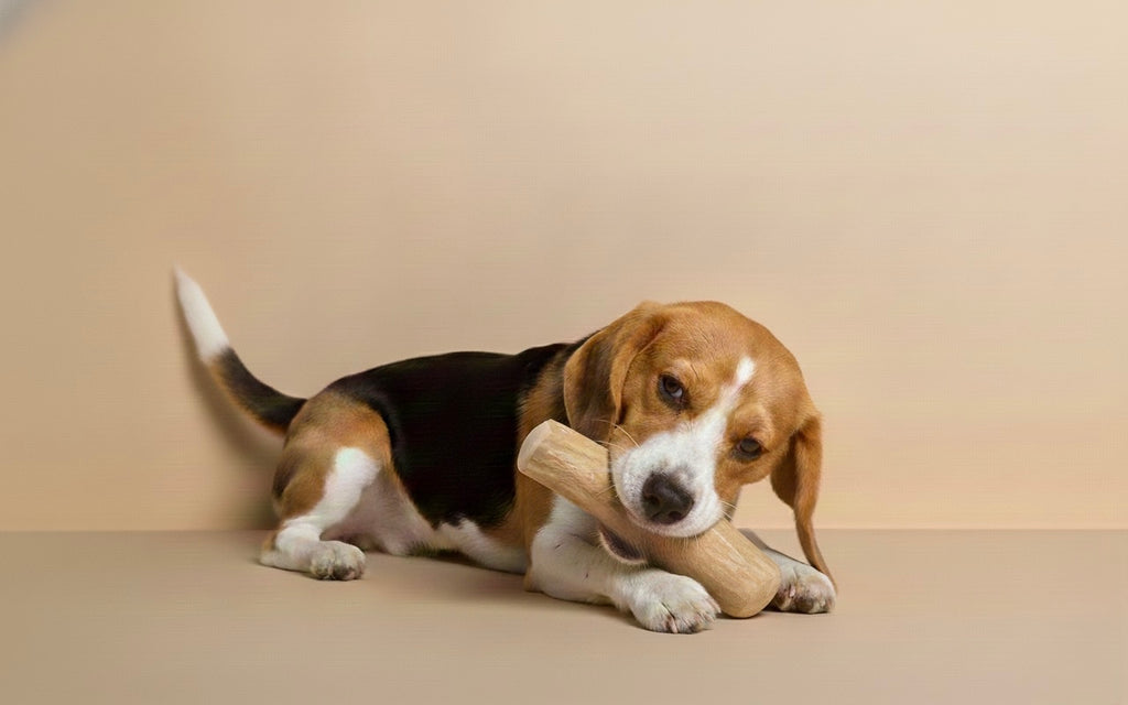 Natural Coffee Wood Dog Chew
